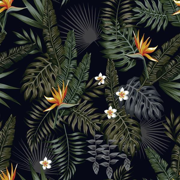برگ ها و گل های استوایی در سبک شب برای چاپ مردانه وکتور بدون درز الگوی کاغذ دیواری جنگل پس زمینه سیاه