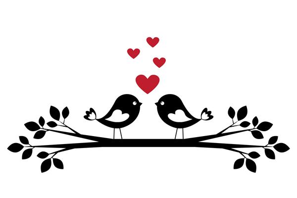 سیلوئت پرندگان ناز عاشق کارت شیک برای روز ولنتاین تصویر برداری