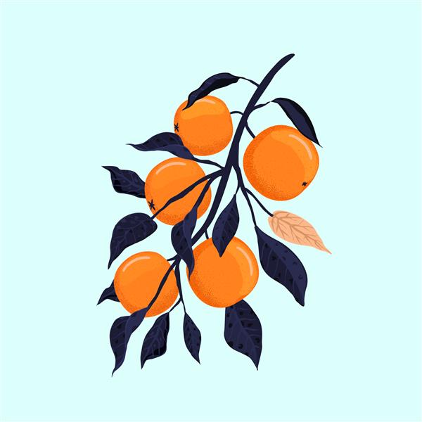 شاخه نارنجی شاخه درخت پرتقال تزئینی با میوه