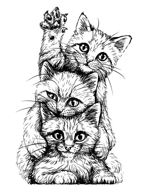 گربه ها برچسب دیواری طرحی گرافیکی سیاه و سفید که سه بچه گربه بامزه را در پس‌زمینه سفید نشان می‌دهد گرافیک وکتور دیجیتال