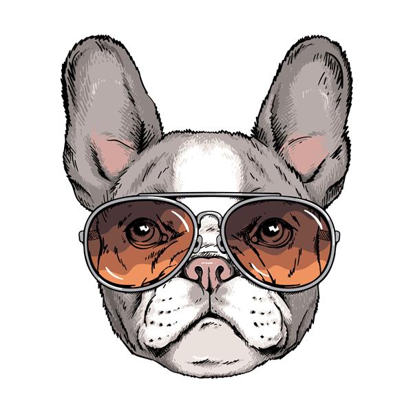 پرتره زیبای بولداگ فرانسوی سگی با عینک آفتابی تصویر برداری تصویری شیک برای چاپ روی هر سطحی