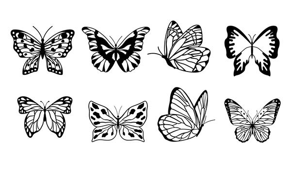 مجموعه ای از پروانه های جدا شده بر روی پس زمینه سفید در فرمت برداری بسیار آسان برای ویرایش اشیاء جداگانه