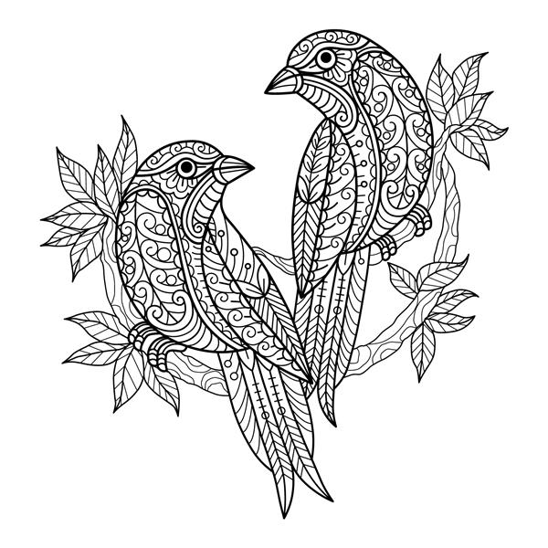 دو پرنده کارتون تلطیف شده Zentangle جدا شده در پس زمینه سفید تصویر طراحی دستی برای کتاب رنگ آمیزی بزرگسالان