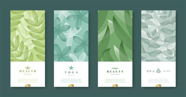 مجموعه بنر برگ و طبیعت طراحی مینیمال زیبایی و سلامت قالب کوپن با آرم - سلامت یوگا زیبایی اسپا تصویر برداری