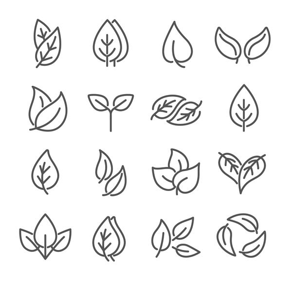 گزیده ای از طرح های خطی برگ های بوم گردی مختلف سیاه و سفید برای عناصر طراحی تصویر برداری