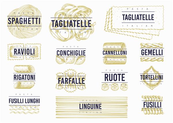 مجموعه قالب لیبل پاستا ایتالیایی تصویر برداری غذا با دست کشیده شده است سبک حکاکی شده انواع پاستا رترو