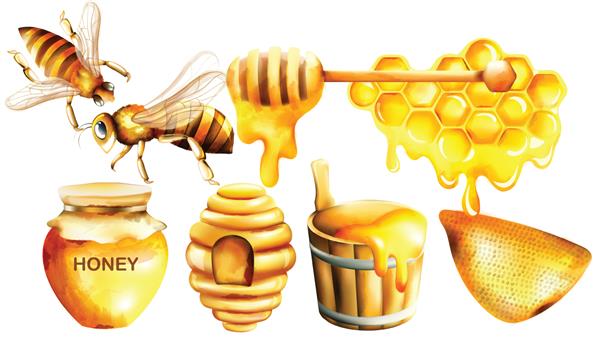 ست آبرنگ عسلی با شیشه دیپر زنبور عسل لانه زنبوری خانه و سطل