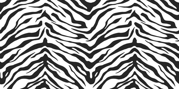 الگوی پوست حیوانات وکتور بدون درز پس زمینه راه راه ببر گورخر چاپ سیاه و سفید حیات وحش برای پارچه پارچه بسته بندی پوشش وب و غیره طراحی 10 eps