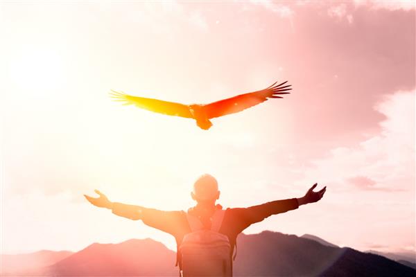 مردی با پس‌زمینه انتزاعی پرواز پرنده عقاب دستش را بالای کوه و آسمان غروب بلند می‌کند ماجراجویی سفر آزادی فضا و مفهوم پیروزی تجاری را کپی کنید سبک رنگ افکت فیلتر تن پرنعمت