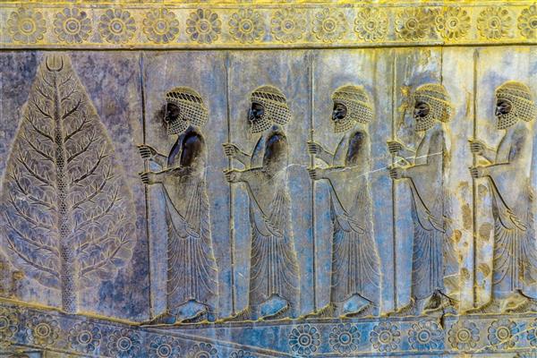 محوطه تاریخی تخت جمشید دیوار حکاکی سربازان ایرانی باستان و یک درخت