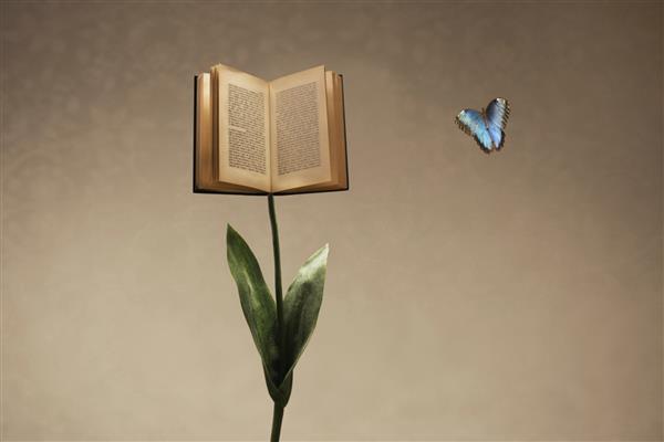 کتاب باز سورئال که توسط یک ساقه گل حمایت می شود با یک پروانه رنگارنگ ملاقات می کند