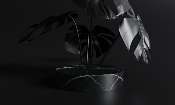 تریبون نمایش محصولات مرمر سیاه با برگ های طبیعت رندر سه بعدی