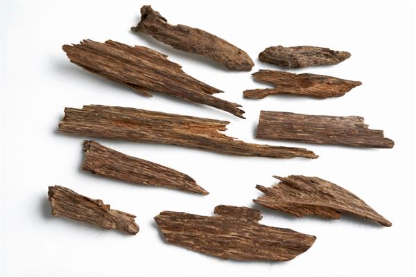 کلوزآپ عکس ماکرو از چوب های چوب آگار یا آگاروود جدا شده روی پس زمینه سفید تراشه های بخور مورد استفاده در سوزاندن آن یا برای روغن های عود عربی یا باخور