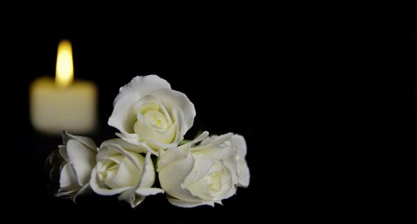 گل رز سفید زیبا با یک شمع سوزان در پس زمینه تیره گل و شمع تشییع جنازه روی میز در برابر پس زمینه سیاه با فضای کپی نماد تشییع جنازه مفهوم کارت تسلیت و روحیه