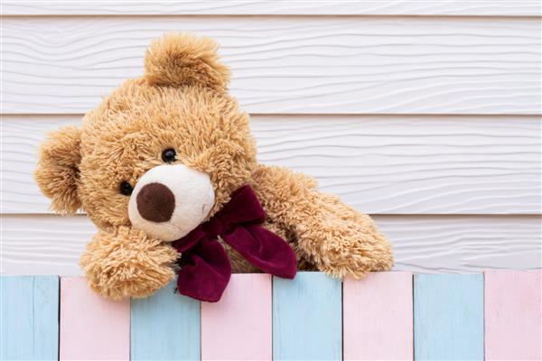 خرس عروسکی قهوه ای ناز پشت در چوبی رنگارنگ پنهان شد