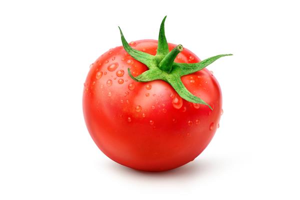 گوجه فرنگی تازه آبدار قرمز با قطرات آب جدا شده در پس زمینه سفید مسیر برش