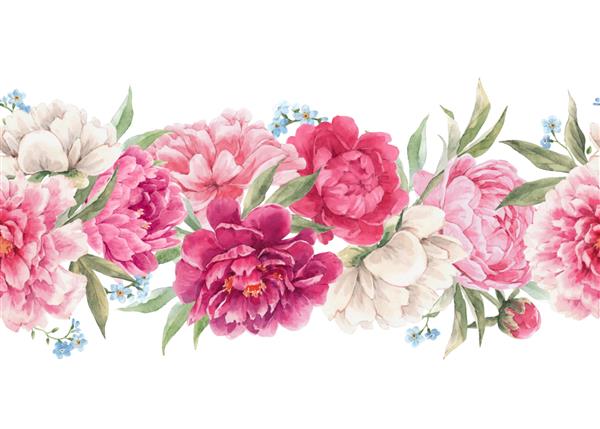 الگوی افقی گلدار بدون درز زیبا با گلهای گل صد تومانی صورتی ملایم با آبرنگ کشیده شده است تصویر سهام