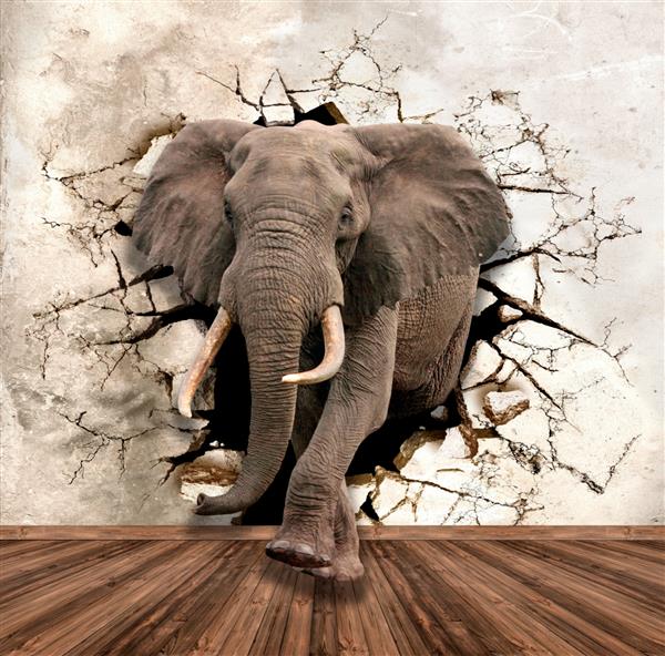 تصویر سه بعدی یک فیل از طریق دیوار شکسته برای کاغذ دیواری چاپ دیجیتال کاغذ دیواری طرح سفارشی