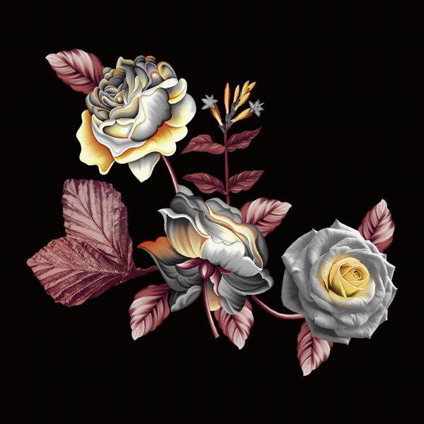 تصویر آبرنگ گل های دیجیتال تزیین دستی با گل های آبرنگ گل رز بافت گلدار طراحی برای پوشش پارچه پارچه کاغذ بسته بندی