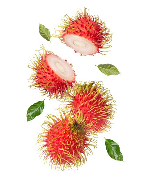 میوه Rambutan در حال پرواز در هوا جدا شده در پس زمینه سفید