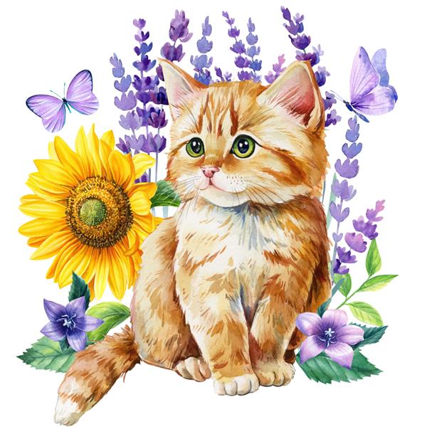 آبرنگ بچه گربه زنجبیلی ناز و گل های اسطوخودوس آفتابگردان پروانه ها در پس زمینه سفید حیوانات کارت پستال گلدار