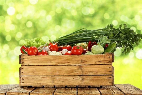 غذای تازه سبزیجات و فضای باغ