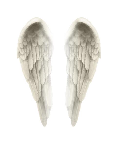 تصویر سه بعدی از بال های فرشته جدا شده در پس زمینه سفید - تصویر متقارن دقیق از بال های فرشته جدا شده با رنگ طلایی رنگ