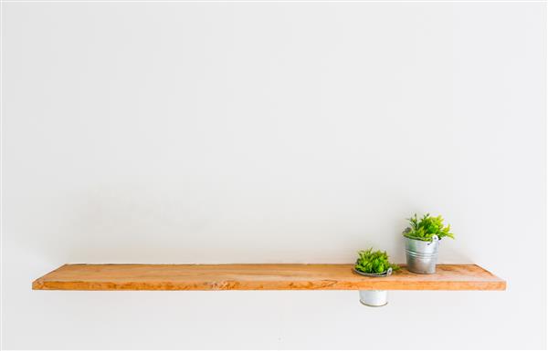 قفسه چوبی روی دیوار سفید با گیاه سبز