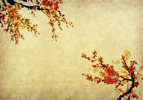 نقاشی سنتی چینی شکوفه آلو بهاری در زمینه کاغذ قدیمی