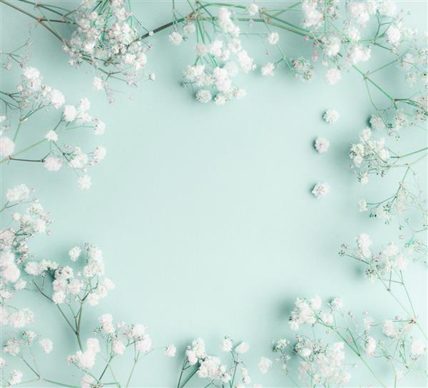 ترکیب گل با توده‌های روشن و مطبوع از گل‌های سفید کوچک در زمینه آبی فیروزه‌ای نمای بالا قاب گل های نفس بچه گیپسوفیلا