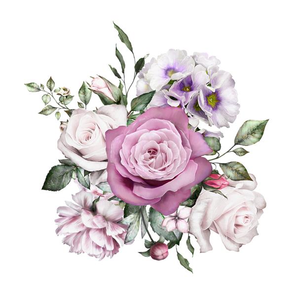 گل های آبرنگ تصویر گل برگ و جوانه ترکیب گیاه شناسی برای کارت عروسی یا تبریک شاخه گل - گل رز گل صد تومانی جدا شده در زمینه سفید