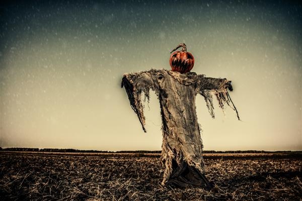 افسانه هالووین پرتره جک فانوس با کدو تنبل روی سرش که در مزرعه به عنوان مترسک ایستاده است