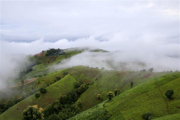 منظره تپه‌های ذرت در روز ابری در اطراف مائلانوی استان ماهونگسون تایلند