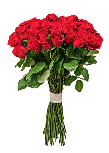 دسته گل رنگارنگ از گل رز قرمز جدا شده در پس زمینه سفید نزدیک