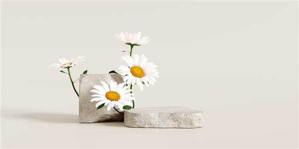 سکوی سنگی پایه نمایش لوازم آرایشی و بهداشتی با گل های شکوفه دیزی در زمینه قهوه ای رندر سه بعدی
