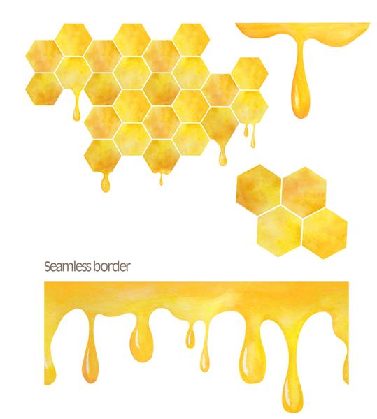 کلیپ آبرنگ زنبور عسل کلیپ آرت png کلیپ دیجیتال تابستانی نقاشی با دست