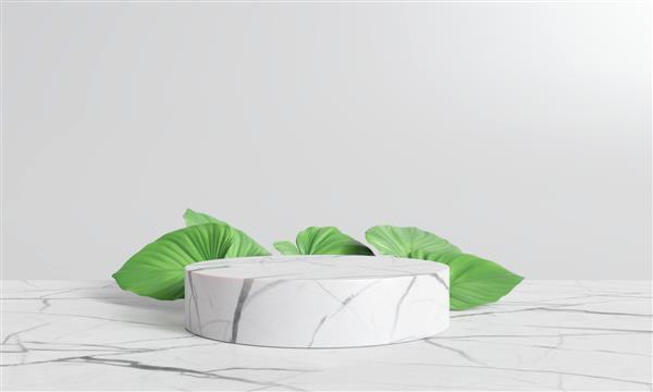 تریبون نمایش محصولات مرمر سفید با برگ های طبیعت رندر سه بعدی