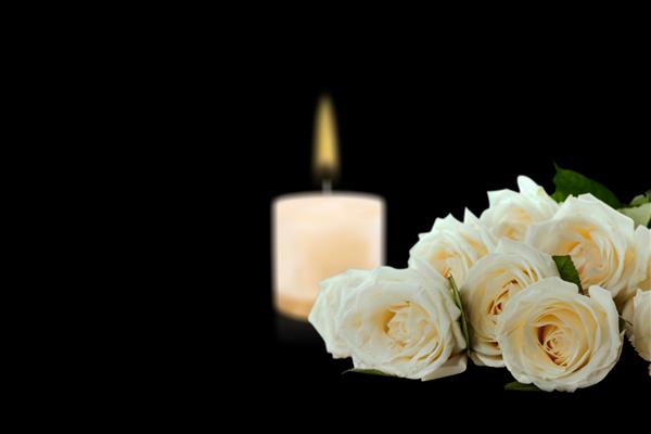 گل رز سفید زیبا با شمع سوزان در پس زمینه تیره