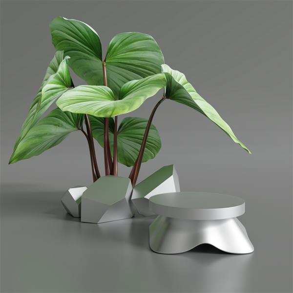 تریبون نمایش محصول نقره ای با برگ های سبز در پس زمینه خاکستری رندر سه بعدی