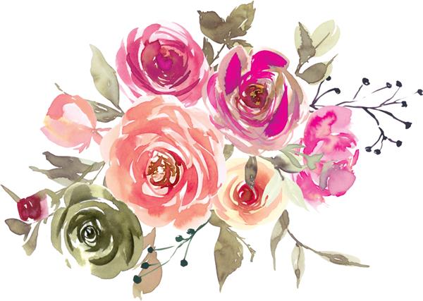 گل گل صد تومانی گل رز آبرنگ هلو صورتی برگ جدا شده در زمینه سفید طراحی برای کارت تولد یا دعوت عروسی