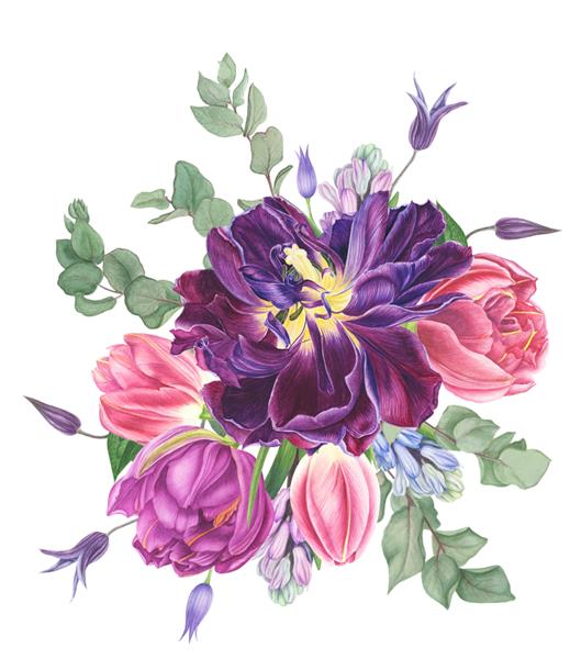 دسته گل با لاله و سنبل نقاشی آبرنگ برای طراحی کارت الگو و پارچه