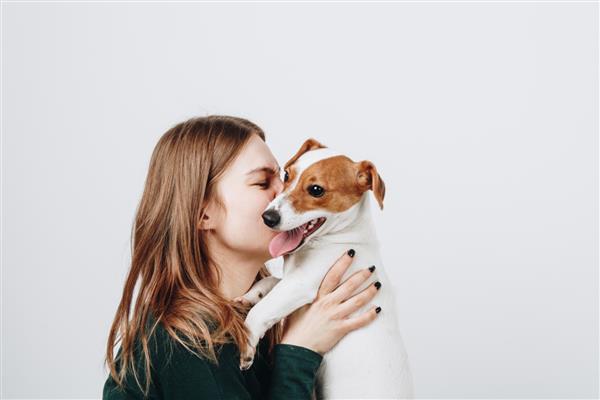 زن جوان ناز سگ توله سگ خود جک راسل تریر را می بوسد و در آغوش می گیرد عشق بین صاحب و سگ جدا شده در پس زمینه سفید پرتره استودیویی