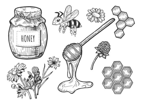 تصویر مجموعه عسلی کوزه با پارچه و طناب زنبور عسل گل های مزرعه قاشق لانه زنبوری سبک ابله کشیده شده با دست