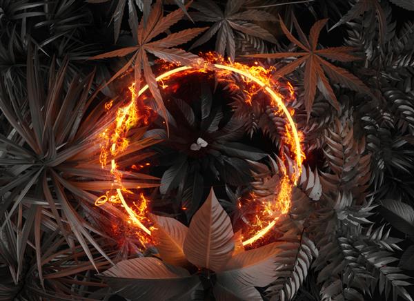 رندر سه بعدی شکل دایره در آتش روی گیاهان گرمسیری تخت خواب مفهوم سبک طبیعت مینیمال