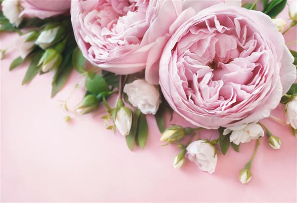 قاب گل‌های رز شکوفه‌دار ظریف پس‌زمینه جشن پاستلی شکوفه‌دار کارت گل با دسته گل صورتی ملایم رنگ‌آمیزی