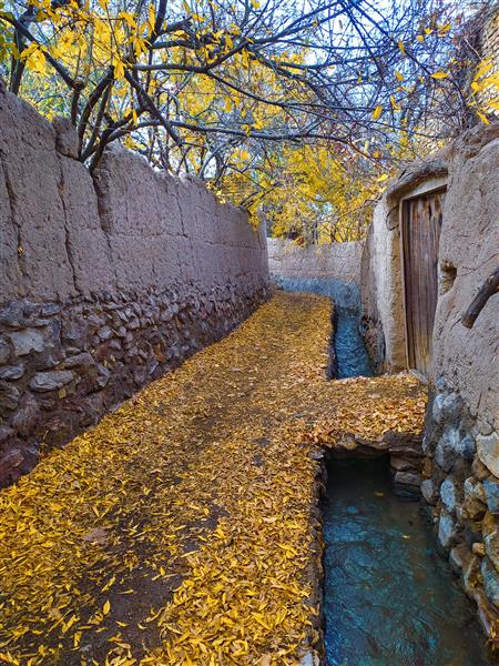 کوچه باغ و جوی آب در پاییز عکس از منظره زیبا در ایران