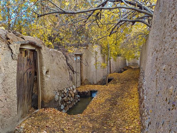 کوچه باغ در پاییز عکس از منظره زیبا در ایران