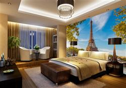 تصویر 3 از گالری عکس منظره برج ایفل در پاریس