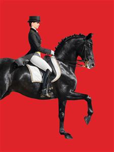 تصویر سوارکار زن حرفه‌ای بر روی اسب سیاه در حال تاخت با پس‌زمینه قرمز پررنگ برای پوستر دیواری سالن‌های ورزشی و باشگاه سوارکاری