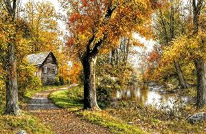 منظره رویایی کلبه جنگلی و رودخانه در فصل پاییز مناسب برای پوستر دیواری پاناروما و سالن‌های بزرگ